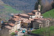 Festa di fiori da Alino al Molinasco- 13mar24 - FOTOGALLERY